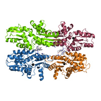 Cbikp Structure highlight 